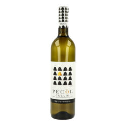 Víno Scolaris Pecól Sauvignon 0,75l 12,5% 2019, bílé - Italské bílé víno Scolaris Pecól Sauvignon 2019. Balení: láhev, 0,75 L.

Obsah alkoholu: 12,5 %
Rok výroby: 2019
